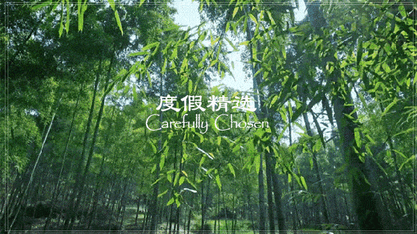 微信圖片_20230329152356.gif
